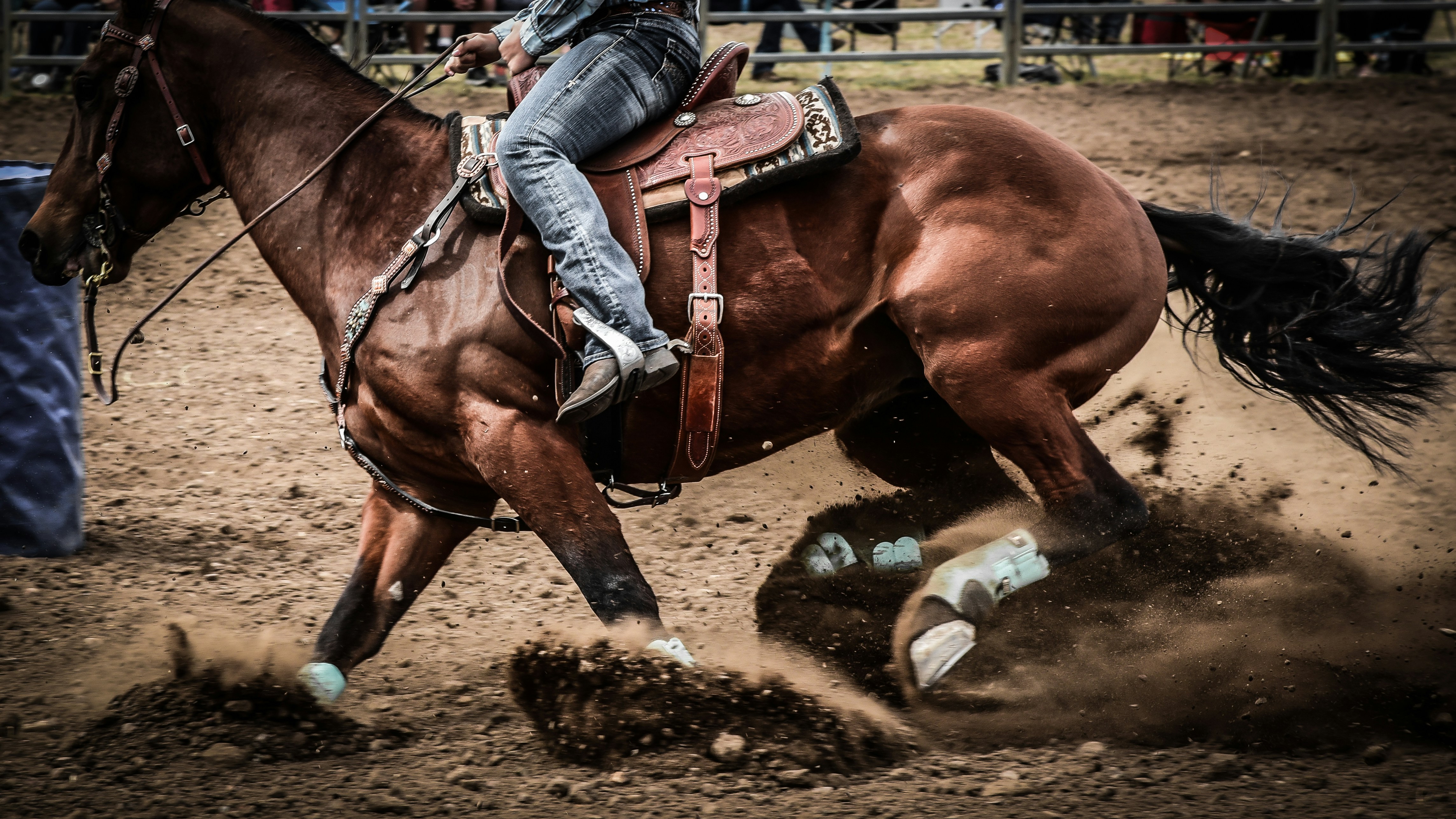 Learn the sport